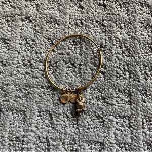 Alex and Ani Ode to the Owl Charm Bracelet